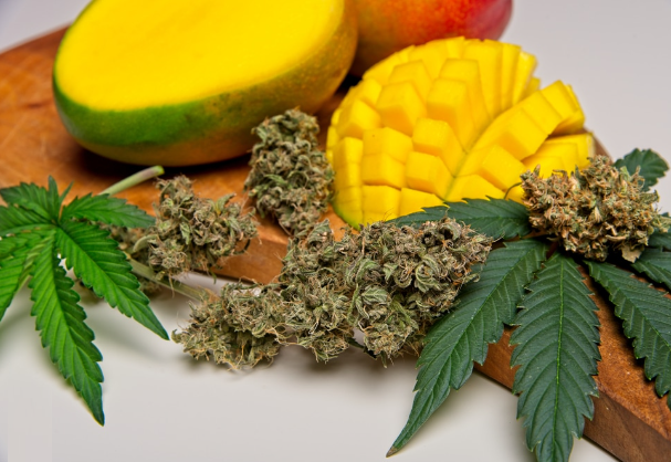 The Mango Effect: Unlocking the Synergy Between Mango and Weed