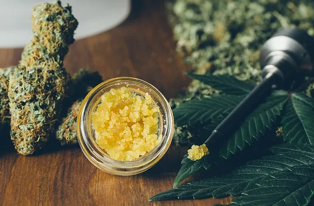 Unravelling the World of Cannabis Concentrates: A Comprehensive Guide for Novices