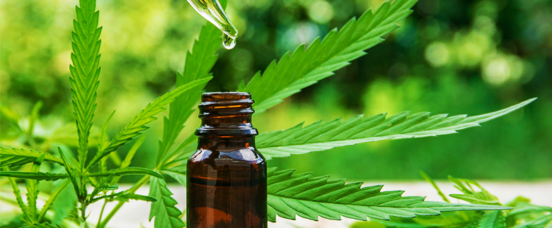 Cannabis Tincture- Everything You Need to Know About Them