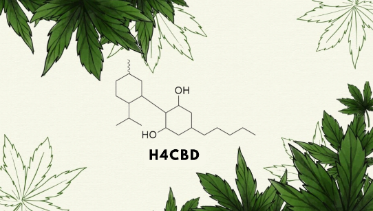 H4CBD vs CBD