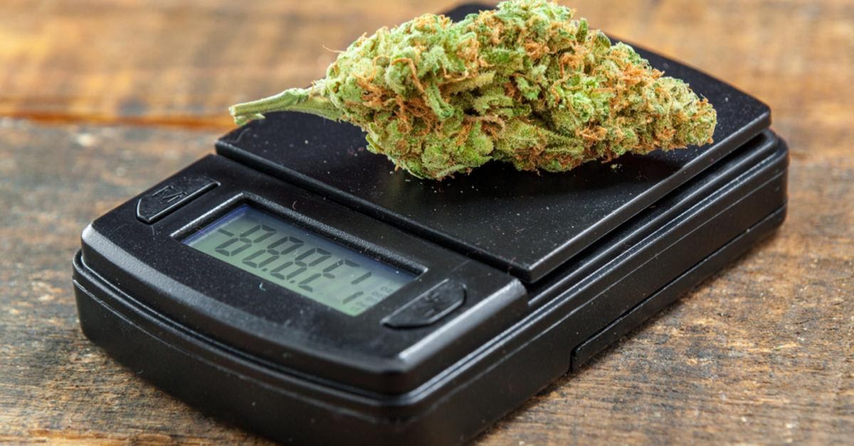 weed-measurement-guide-how-many-grams-in-an-ounce-olivastu