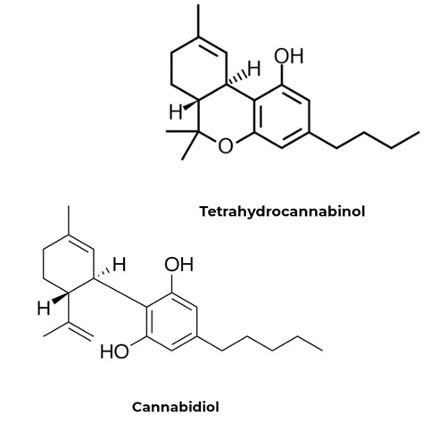 cbd-thc