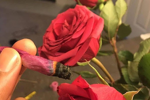 Rose Petal Blunt