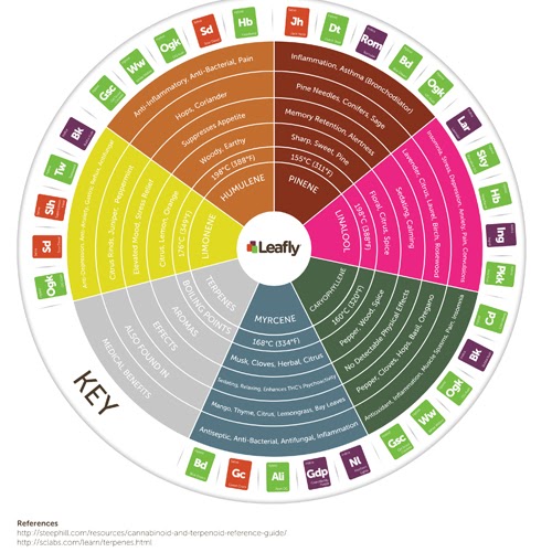 Types-of-Terpenes