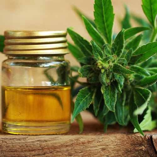 cannabis-oil-recipe