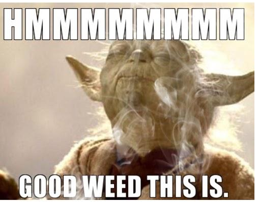 weed